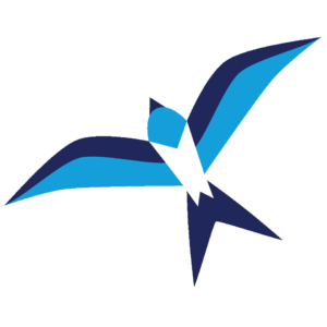 Air Environment Logo